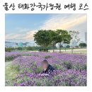 울산 가볼만한곳 산책명소 태화강 국가정원, 근처 맛집 코지하우스 울산여행 후기