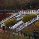 호수정원 이미지