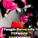 용인대 태풍 태권도장 이미지