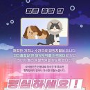 아리스타동물의료센터 이미지