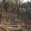 삼두1 Daum카페