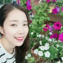 앨리슈 Daum카페