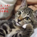 아미월 남산