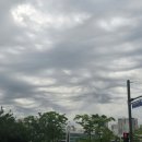 미사하늘공인중개사사무소 이미지