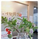 천리향한의원 이미지