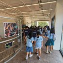 와석초등학교 이미지