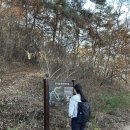 순창샘물전주 | 순창 무직산.. 숨겨진 보물같은 산