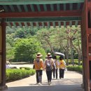 소수서원 필리아 이미지