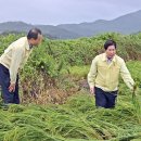 고흥-6호 이미지