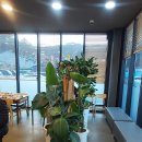 완도화목식품 | 원주단계동맛집 저지방 저칼로리 대포항 직송 살이 통통한 왕코다리 바른 코다리