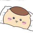 창평농장 | 미루고 미룬 2025년 하반기 일상!(9월~11월)