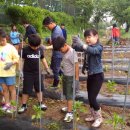 에코팜농장 이미지