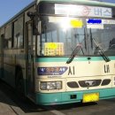 동진버스 이미지