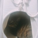 소란농장 이미지