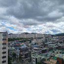 혜경축산 | 6월 첫째주