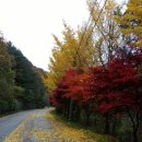 천일택시 이미지