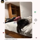4/24 ~ 30 Venice, Firenze, Roma, Incheon