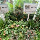 둔산대로 이미지