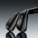 에이펙스라인 이미지