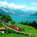 초록세상 이미지