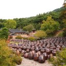 남도농장 이미지