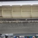 유기 및 야생동물 관리 전문가 양성과정 | 삼척시 동물보호센터 에어컨 청소 후기｜천장형 1way·2way·4way·벽걸이 전체 관리 작업