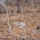 하죽마을 이미지