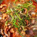 서천 동백꽃 쭈꾸미 축제 이미지