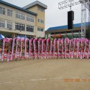 진보초등학교 이미지