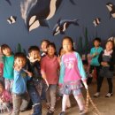 금빛초등학교 이미지