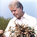 재임농장 이미지