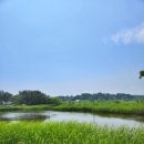 순포습지 이미지