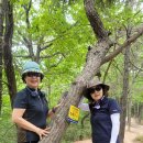 도봉-도봉-서울도봉-2024 이미지