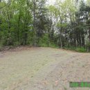 반남박씨박원도묘 이미지