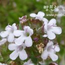 품안 이미지