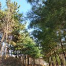 가좌이음숲 이미지