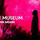 아르떼뮤지엄 이미지