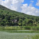 청산 - 수성구 범어천로 155-23 | 청산
