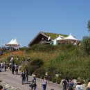 하늘공원 이미지