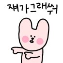 봄날의댕댕이 이미지