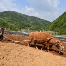 단양농부마을 이미지