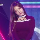 스포츠퍼포먼스그룹