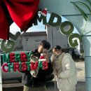 글램독 경주 B동 | 경북 경주 펜션 | 애견을 위한 펜션 글램독 경주점 내돈내산 방문후기