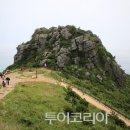 청산도의미래 이미지