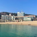 남일대리조트 해수월드 이미지