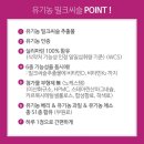 성식품 | 뉴트리코어 밀크씨슬 추천 내돈내산 유기농 밀크씨슬 추천