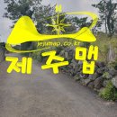 제주도 부동산 여행♠ 대정읍 신도리 268㎡ 제주 부동산 토지 매매 관광 지도 맵 이미지