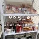 오렌즈영등포지하상가점 | 영등포 놀거리 추천 모어덥 컬러 퍼스널컬러 진단 후기 (겨울 페일 화장품 추천)