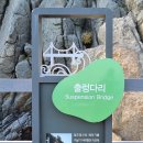 샛바람길 | 삼척 초곡용굴 촛대바위길,덕봉산 생태탐방로,새천년해안 샛바람길 (2021.11.25)