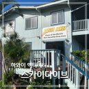 디다이브 | 하와이 액티비티 스카이다이빙. 스카이 다이브 가격, 후기.